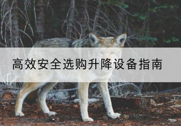 崇川升降货梯厂家推荐-*安全选购升降设备指南
