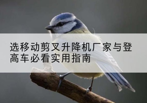 崇川电动升降机厂家-选移动剪叉升降机厂家与登高车必看实用指南